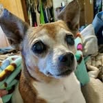 Nancy Buffington - @lil.pixi.stik64 - Instagram