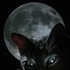 Jandy Castillo Beltran - @jandy.castillo.be - TikTok