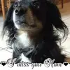 Jandy Herrera - @jandy.herrera - TikTok