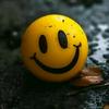 Jane Abbey - @jane.abbey - TikTok