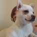 Janet Alberts - Facebook