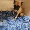 Jane Alexander - @jane.alexander26 - TikTok