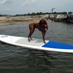 Jane Alford - @jmalford3 - Instagram
