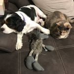 Jane Alford - @jane.alford.33 - Instagram