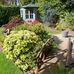 Jane Allard - Facebook