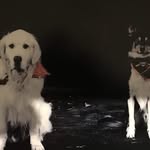 Jane Allison - @jane.allison.547 - Instagram