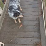 Jane allison - @janeallison568 - Instagram