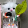 jane allred - @janeallred8 - TikTok