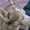 Jane Almond - @jane.almond0 - TikTok