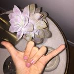 Jane Amador - @jane.sells.stuff - Instagram