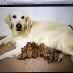 Janet Applegate - @janet.applegate - Instagram