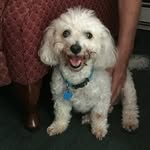 Jane Aronson - @jane.aronson.129 - Instagram