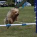 Jayne Arscott - Facebook