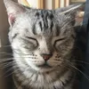 Jane_ary - @usergo361q9ce0lc - TikTok