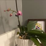 Jane Atlas - @janeybean72 - Instagram