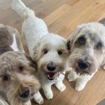 Jane Sandberg Audet - @jaudet01 - Instagram