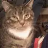 janeayerssmith - @janeayerssmith - TikTok