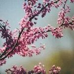 Jane Ayre - @jane.ayre.1042 - Instagram