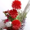 Jane ayre - @user568760342 - TikTok