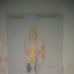 Janet Baca - Facebook