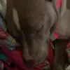 baileyjane052 - @bailey.jane8 - TikTok