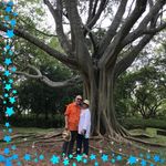 Jane Bailey - @janebailey2681 - Instagram
