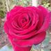 Jane Baize - Facebook