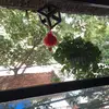 Jane Ballads73 - @jane.ballads73 - TikTok