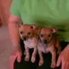 Jane Ballard - @jane.ballard2 - TikTok