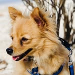 Jane Banfield - @teddytalks_in_bim - Instagram
