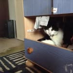 Susan Jane Banfield - @banfield.susan - Instagram