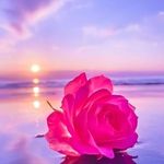 Jane Banning - @janebanning - Instagram