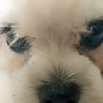 Bella Jane Banzon - @noir_bella22 - Instagram