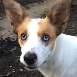 Jane Barber - @janebarber451 - Instagram