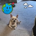 Jane Lewis - @barnwelljane - Instagram