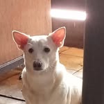 Jane Barrios - @jane.barrios.1690 - Instagram