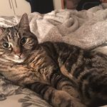 Jane Barrow - @janebarrow5061 - Instagram