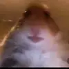Jan Barta30 - @janbarta0 - TikTok