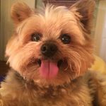 Jane Bartels - @jane.mmb - Instagram