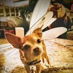 Mary Jane Bartram - @maryjanebartram - Instagram