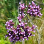jane basford - @jane.happylife - Instagram