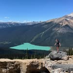 Jane Batchelor - @janegreg1 - Instagram