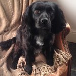 Jane Bates - @bettycockerbates - Instagram