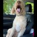 Jane Bates - Facebook