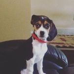 J. Baugh - @jane.baugh - Instagram