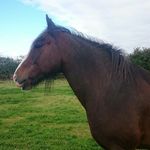 Jane Baugh - @janebaugh - Instagram