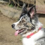 Jane M. Fantin Baugh - @fantinbaugh - Instagram