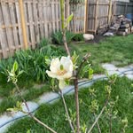 Jane Baum - @the_baum_mom - Instagram