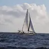 janebaum6927 - @janebaum6927 - TikTok