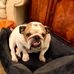 Janet Bawden - Facebook